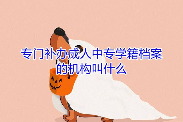 专门补办成人中专学籍档案的机构叫什么