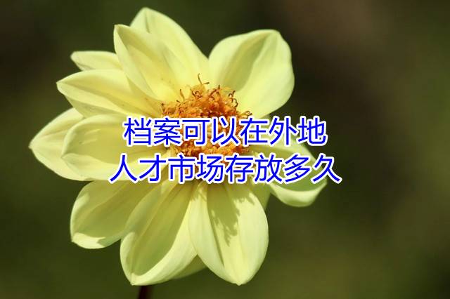 档案可以在外地人才市场存放多久