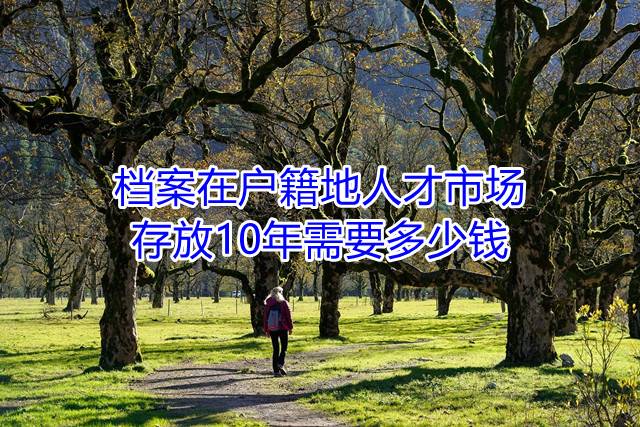 档案在户籍地人才市场存放10年需要多少钱