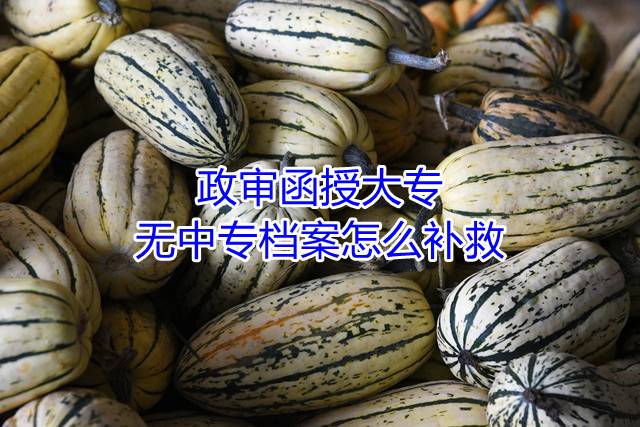政审函授大专无中专档案怎么补救