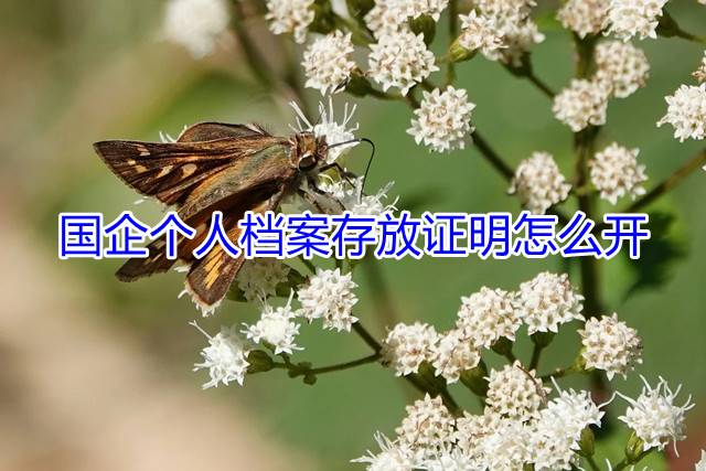 国企个人档案存放证明怎么开
