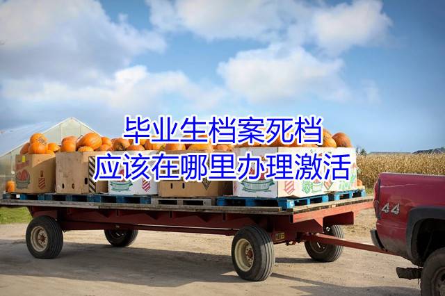 毕业生档案死档应该在哪里办理激活