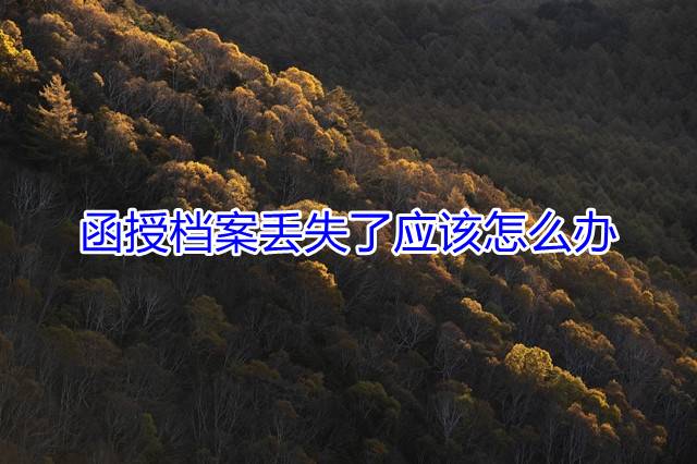 函授档案丢失了应该怎么办