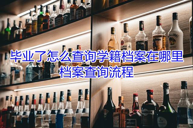 毕业了怎么查询学籍档案在哪里，档案查询流程