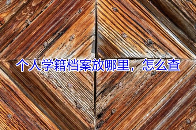 个人学籍档案放哪里，怎么查