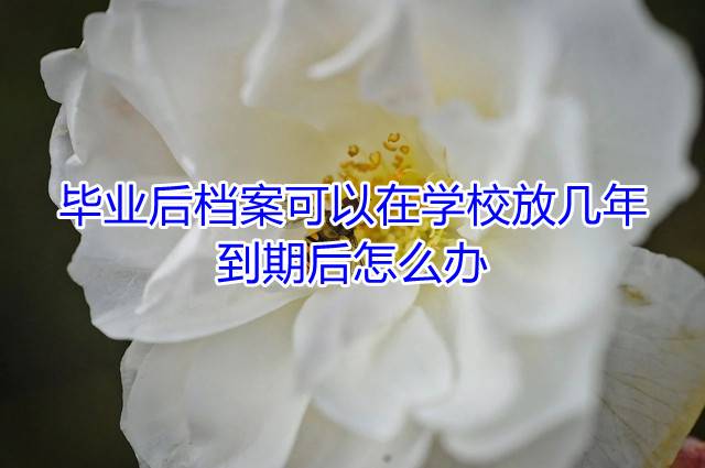 毕业后档案可以在学校放几年，到期后怎么办