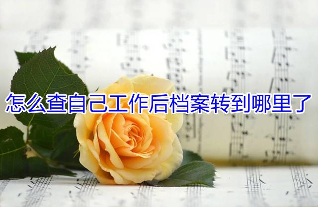 怎么查自己工作后档案转到哪里了