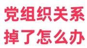 党组织关系掉了怎么办，如何补办补救