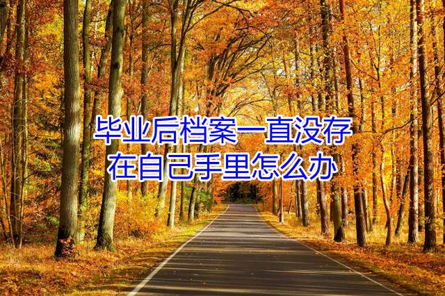 毕业后档案一直没存，在自己手里怎么办