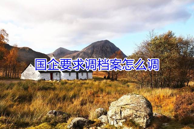 国企要求调档案怎么调