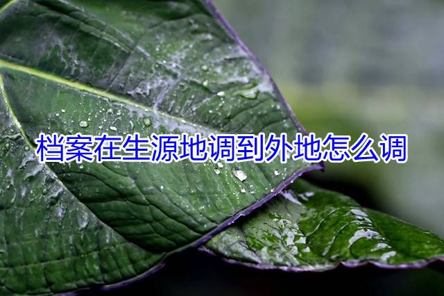 档案在生源地调到外地怎么调