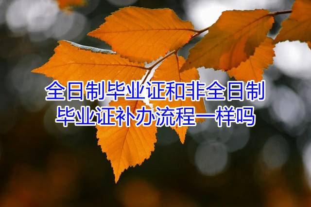 全日制毕业证和非全日制毕业证补办流程一样吗