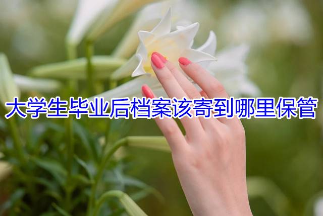 大学生毕业后档案该寄到哪里保管