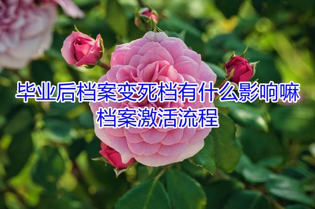 毕业后档案变死档有什么影响嘛，档案激活流程