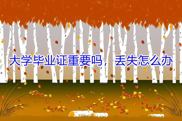 大学毕业证重要吗，丢失怎么办