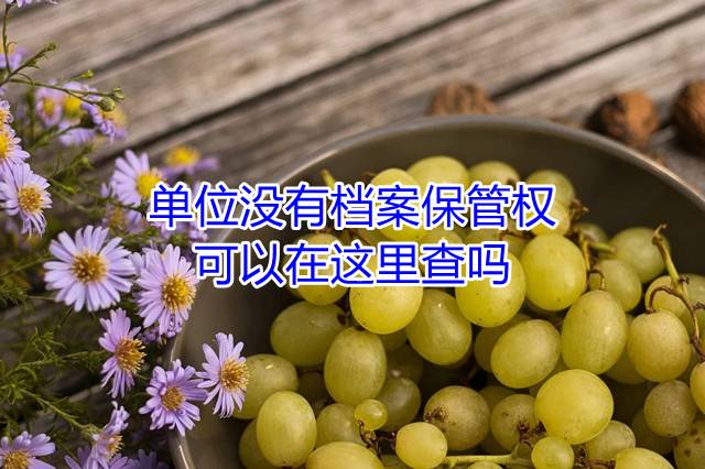 单位没有档案保管权，可以在这里查吗