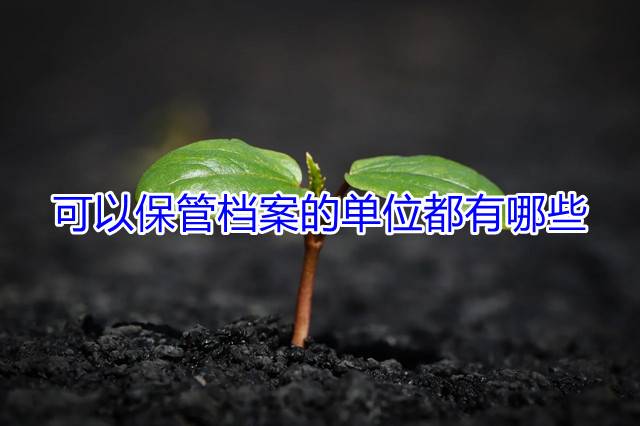 可以保管档案的单位都有哪些