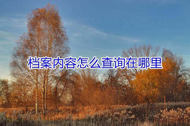 档案内容怎么查询在哪里