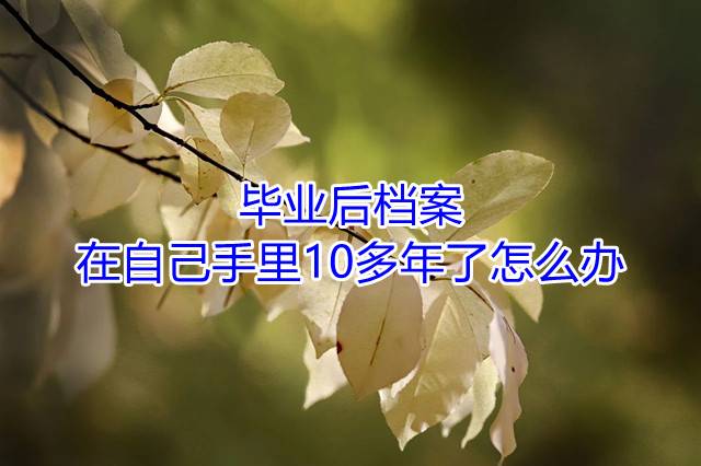 毕业后档案在自己手里10多年了怎么办