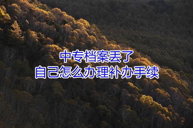 中专档案丢了自己怎么办理补办手续
