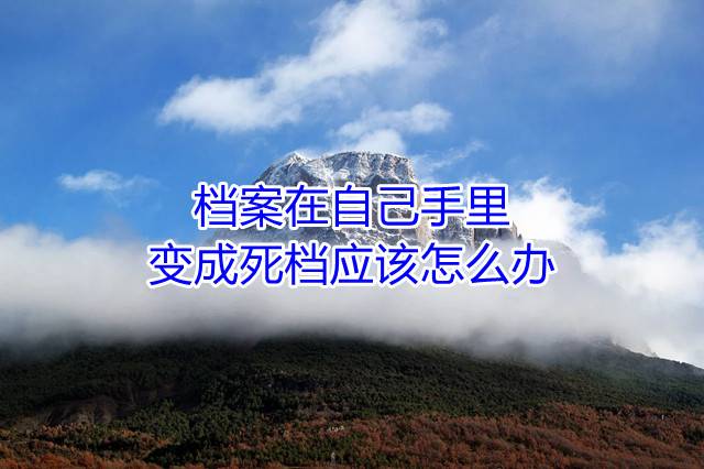 档案在自己手里变成死档应该怎么办