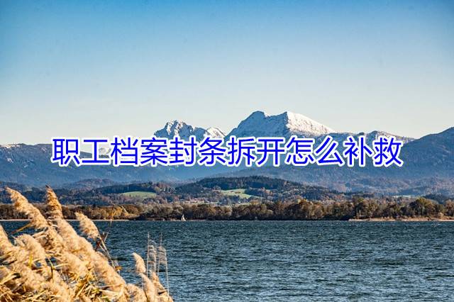 职工档案封条拆开怎么补救