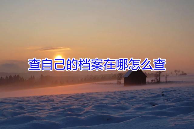 查自己的档案在哪怎么查