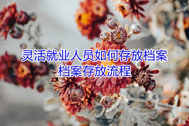 灵活就业人员如何存放档案，档案存放流程
