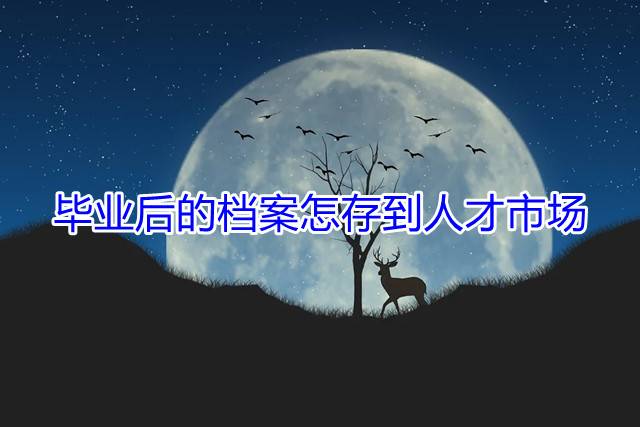 毕业后的档案怎存到人才市场