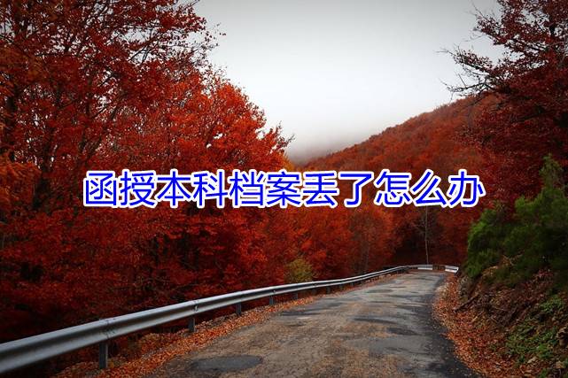 函授本科档案丢了怎么办