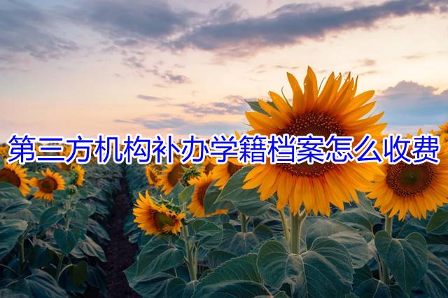 第三方机构补办学籍档案怎么收费