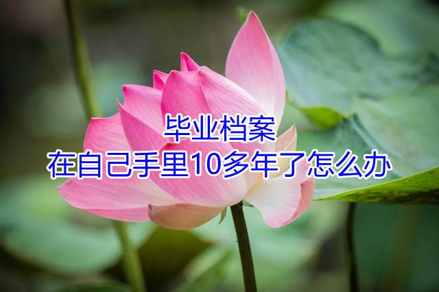 毕业档案在自己手里10多年了怎么办