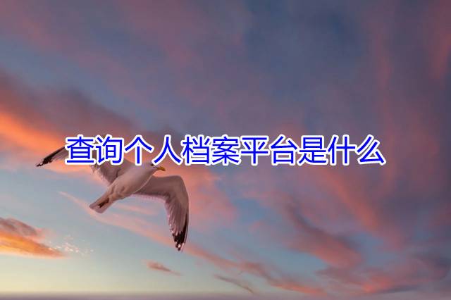 查询个人档案平台是什么