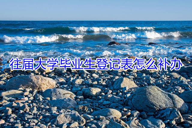 往届大学毕业生登记表怎么补办