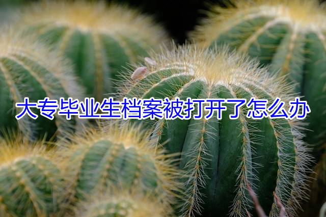 大专毕业生档案被打开了怎么办