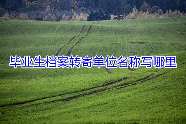 毕业生档案转寄单位名称写哪里