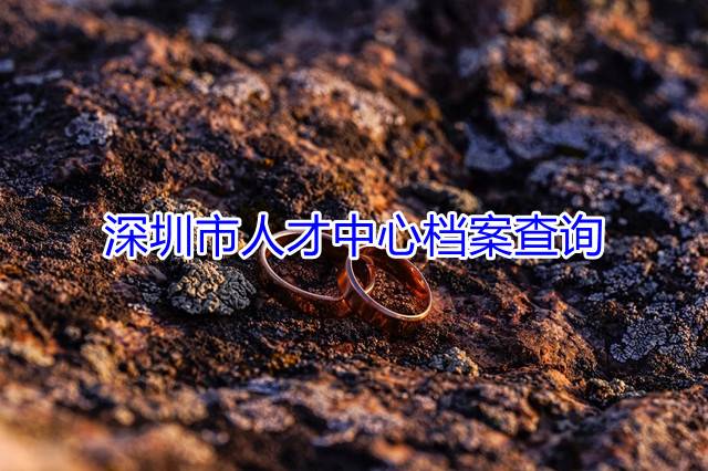 深圳市人才中心档案查询