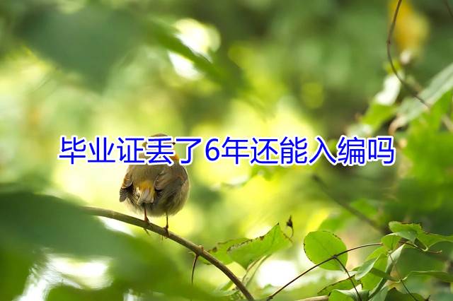 毕业证丢了6年还能入编吗