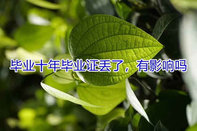 毕业十年毕业证丢了，有影响吗