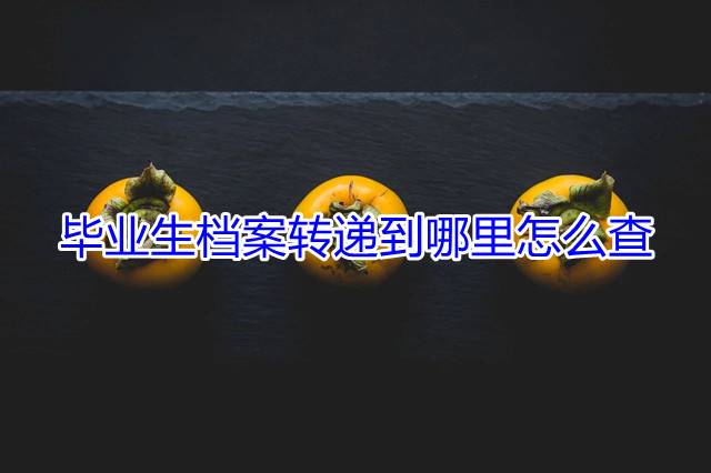 毕业生档案转递到哪里怎么查