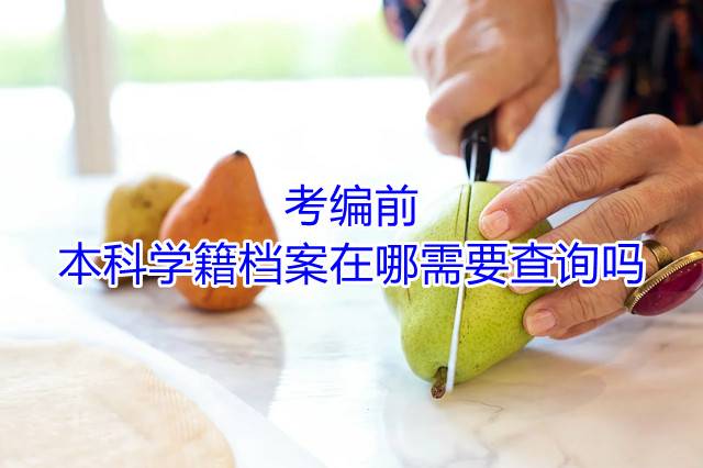 考编前，本科学籍档案在哪需要查询吗