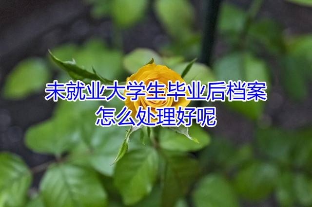 未就业大学生毕业后档案怎么处理好呢