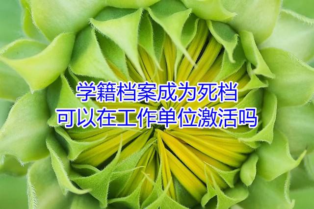 学籍档案成为死档可以在工作单位激活吗