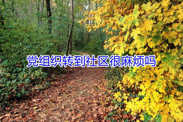   同志们申请加入党组织后，一旦完成了入党手续并被批准为预备党员，就自然而然地取得了党员资格和党籍。接下来，我们来探讨一下党籍是否可以转移到社区。赶紧来了解一下吧!党组织转到社区很麻烦吗   如果没有工作单位，党组织关系可以放在居住地的社区党组织，也可以放在户口所在地的党组织。已经落实工作单位的，应及时将党员组织关系转移到所在单位的党组织。如果尚未落实工作，可以将党员组织关系转移到父母、配偶居住地的街道、乡镇党组织。   在落实工作单位过程中，党员可以将人事关系和档案材料等暂存在县以上政府人事(民政)部门所属复转安置部门，这些部门的党组织在具备管理条件并经同级地方党委同意的情况下，也可以接收这些党员的组织关系，并根据情况组织这些党员过组织生活。   转移到社区的党员需要哪些手续?   首先到社区党支部开具党员证明，然后党员本人持证明到上级党委(总支)办理接转手续。上级党委(总支)根据党支部证明，开具党员组织关系介绍信，介绍信要写明党员转出和转入单位党委(总支)的名称。如果这一级党委(总支)无权与该党员调往单位或迁居地的党组织直接接转组织关系时，还需持组织关系介绍信到上一级党委开具党员组织关系介绍信。党员持介绍信到所去社区党委组织部或基层党委接转组织关系，由其开具组织关系介绍信到所去单位的党支部报到。如果两个社区在一个县内，可以直接相互接转党员组织关系。