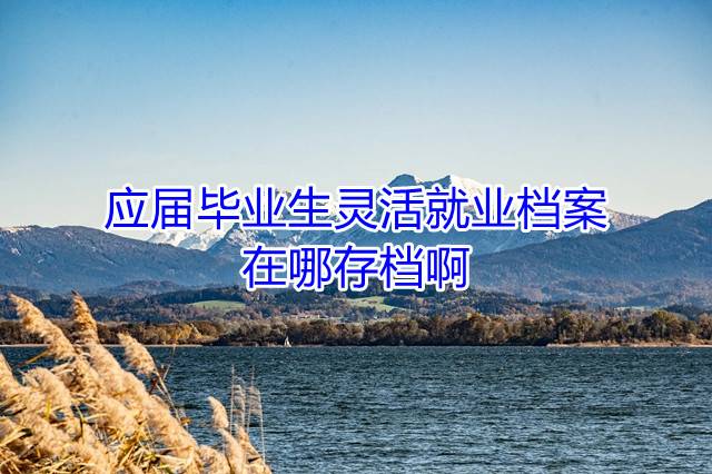应届毕业生灵活就业档案在哪存档啊