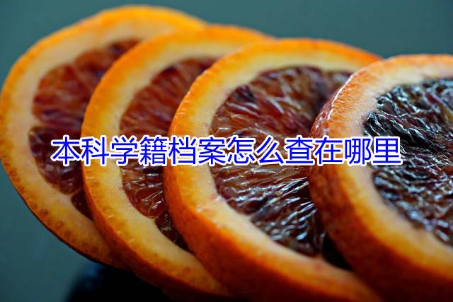 本科学籍档案怎么查在哪里