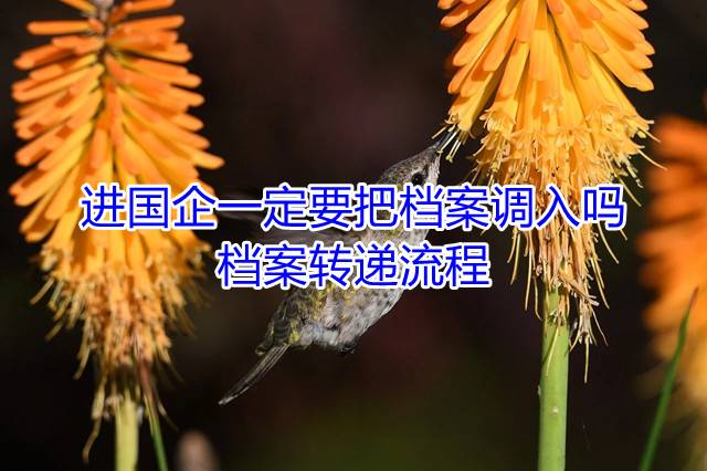 进国企一定要把档案调入吗，档案转递流程