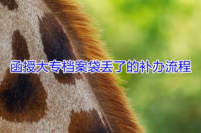 函授大专档案袋丢了的补办流程