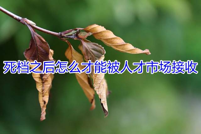 死档之后怎么才能被人才市场接收