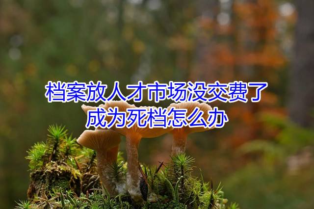 档案放人才市场没交费了成为死档怎么办